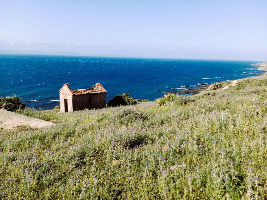 Land Tarifa Cádiz - imagen 9
