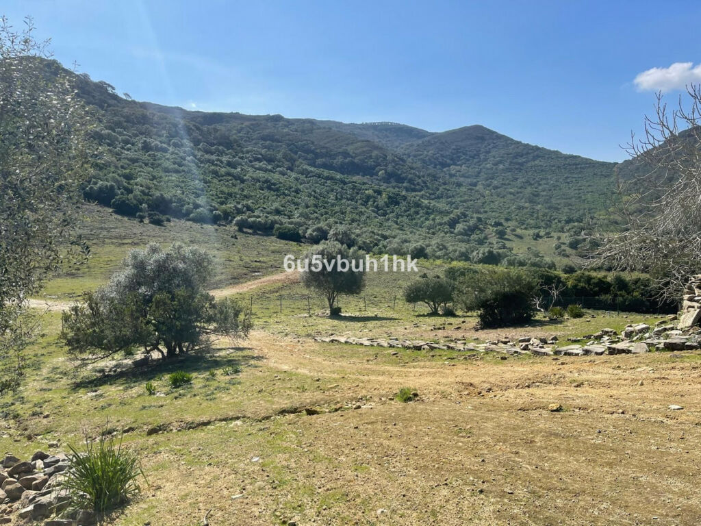 Finca - Cortijo Castellar de la Frontera Cádiz - imagen 11