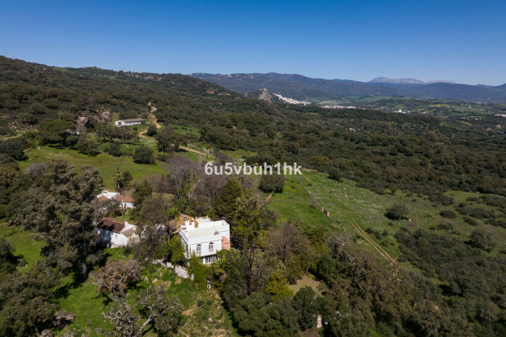 Finca - Cortijo Jimena de la Frontera Cádiz - zdjęcie 11
