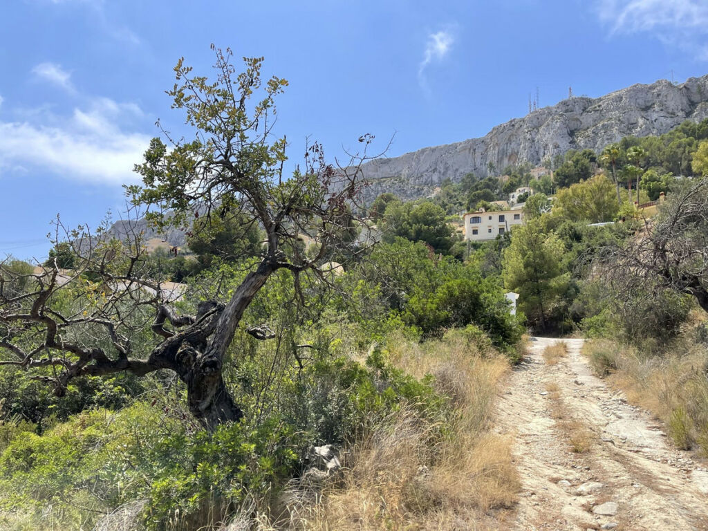 Residential Plot Calpe Alicante - Bild 11