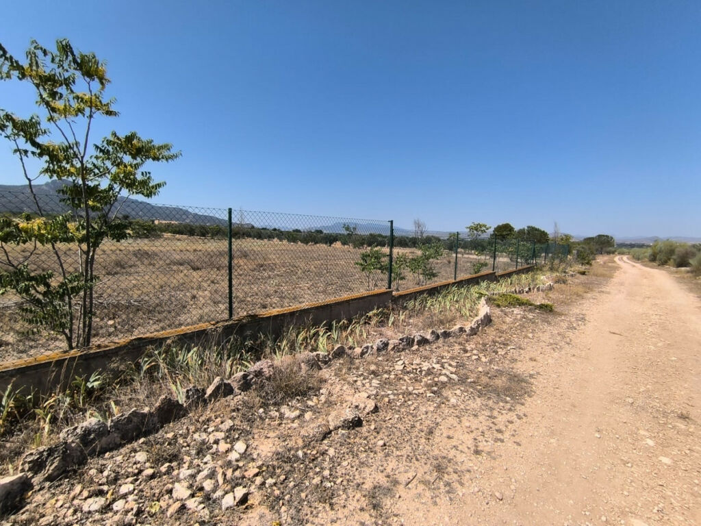 Finca - Cortijo Villena Alicante - imagen 12