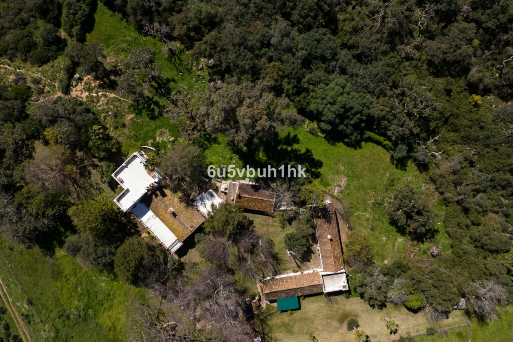 Finca - Cortijo Jimena de la Frontera Cádiz - zdjęcie 12