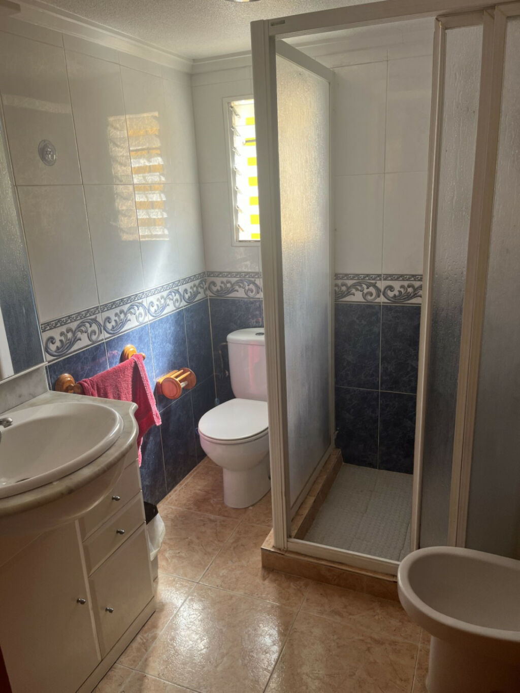 Detached Villa Punta Prima Alicante - imagen 13