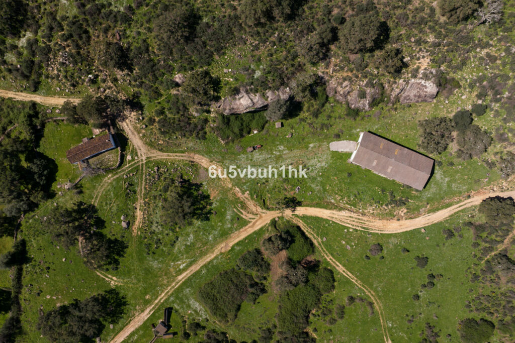 Finca - Cortijo Jimena de la Frontera Cádiz - zdjęcie 13