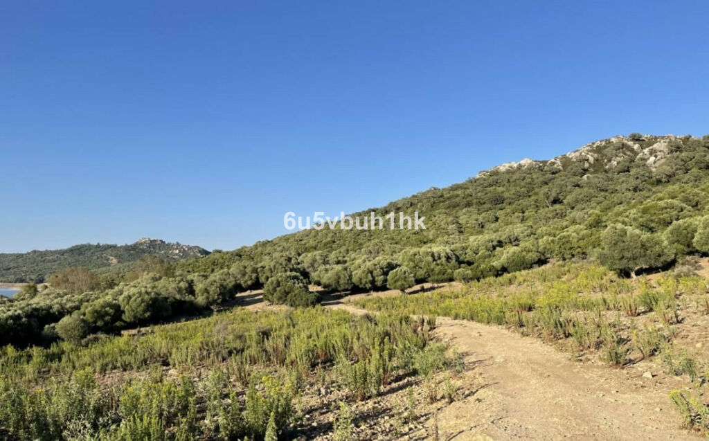 Finca - Cortijo Castellar de la Frontera Cádiz - imagen 13