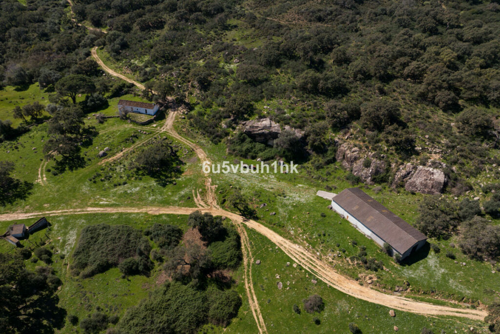 Finca - Cortijo Jimena de la Frontera Cádiz - zdjęcie 14
