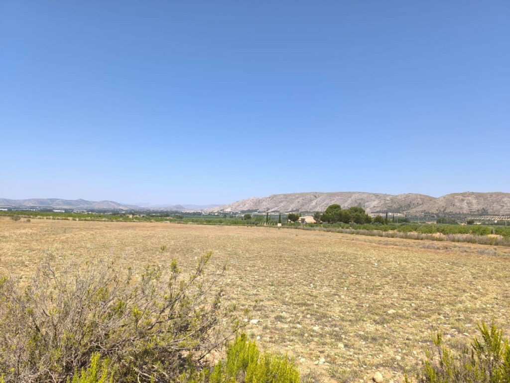 Finca - Cortijo Villena Alicante - imagen 15