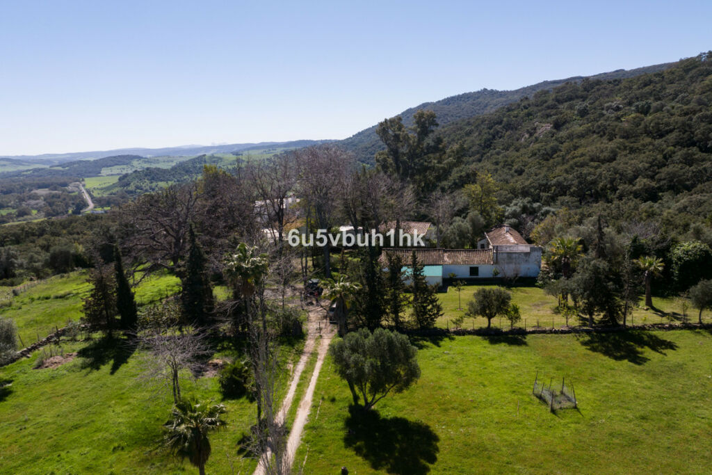 Finca - Cortijo Jimena de la Frontera Cádiz - zdjęcie 15