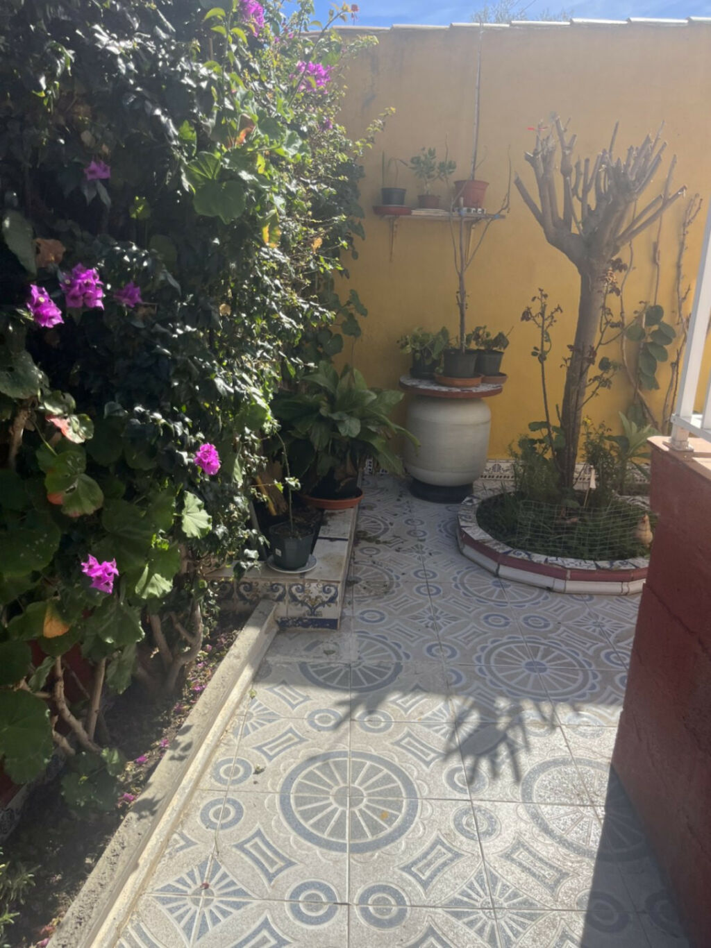 Detached Villa Punta Prima Alicante - imagen 15