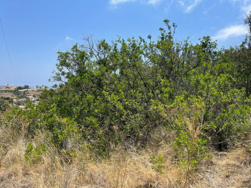 Residential Plot Calpe Alicante - Bild 15