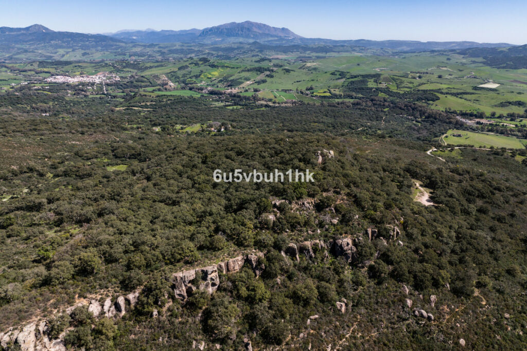 Finca - Cortijo Jimena de la Frontera Cádiz - zdjęcie 16