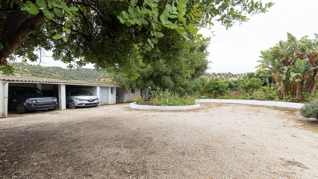 Finca - Cortijo San Pablo de Buceite Cádiz - imagen 17