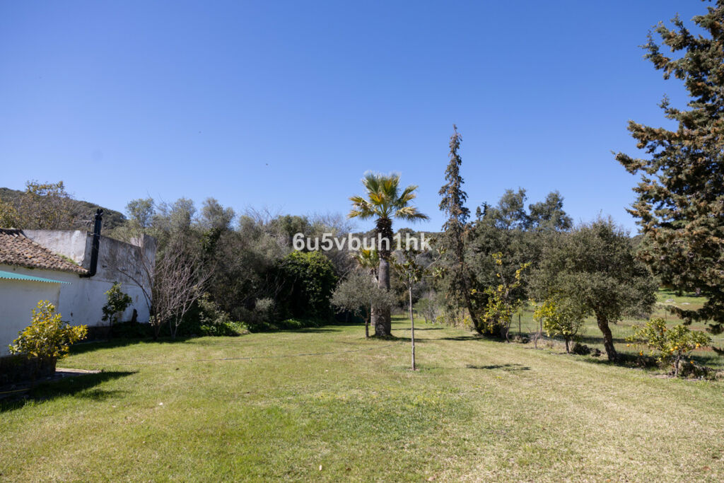 Finca - Cortijo Jimena de la Frontera Cádiz - zdjęcie 18