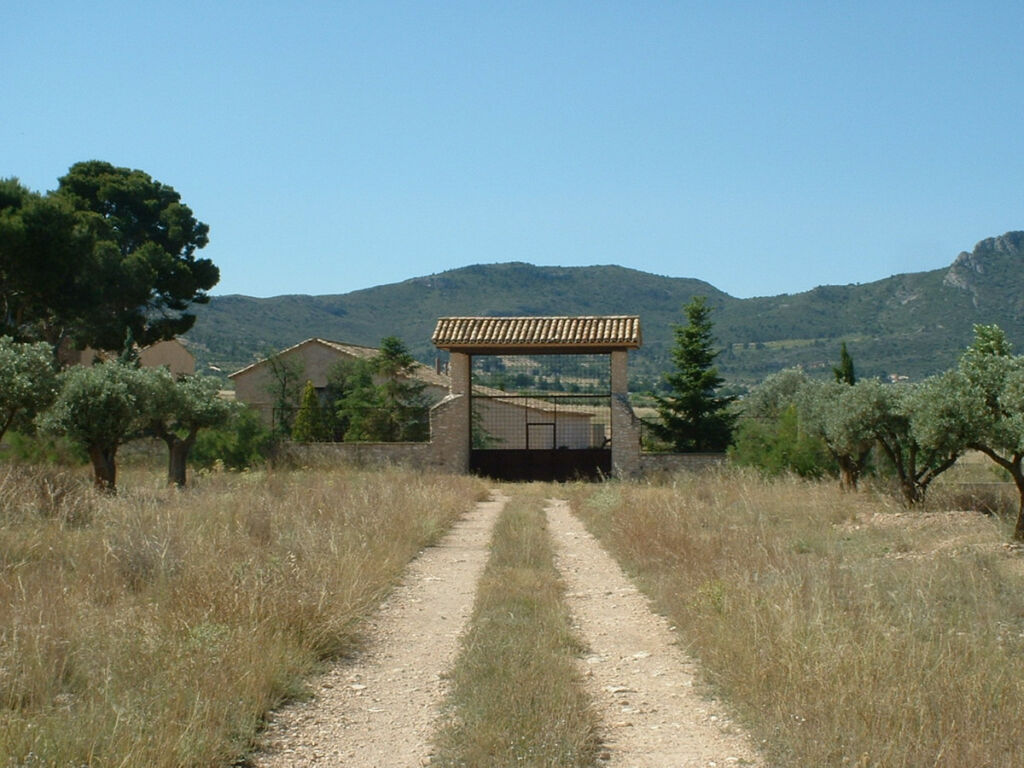 Finca - Cortijo Villena Alicante - imagen 18
