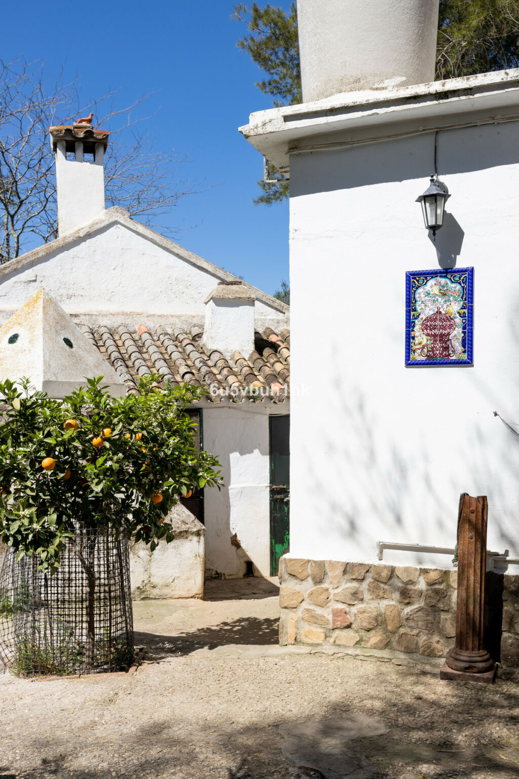 Finca - Cortijo Jimena de la Frontera Cádiz - zdjęcie 20
