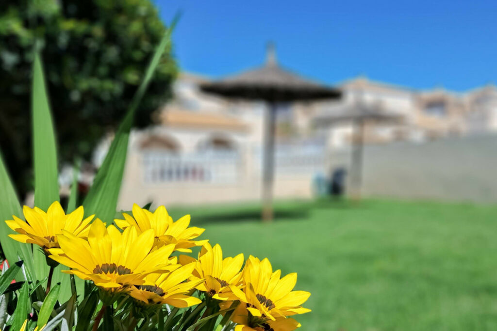 Bungalow Torrevieja Alicante - zdjęcie 2