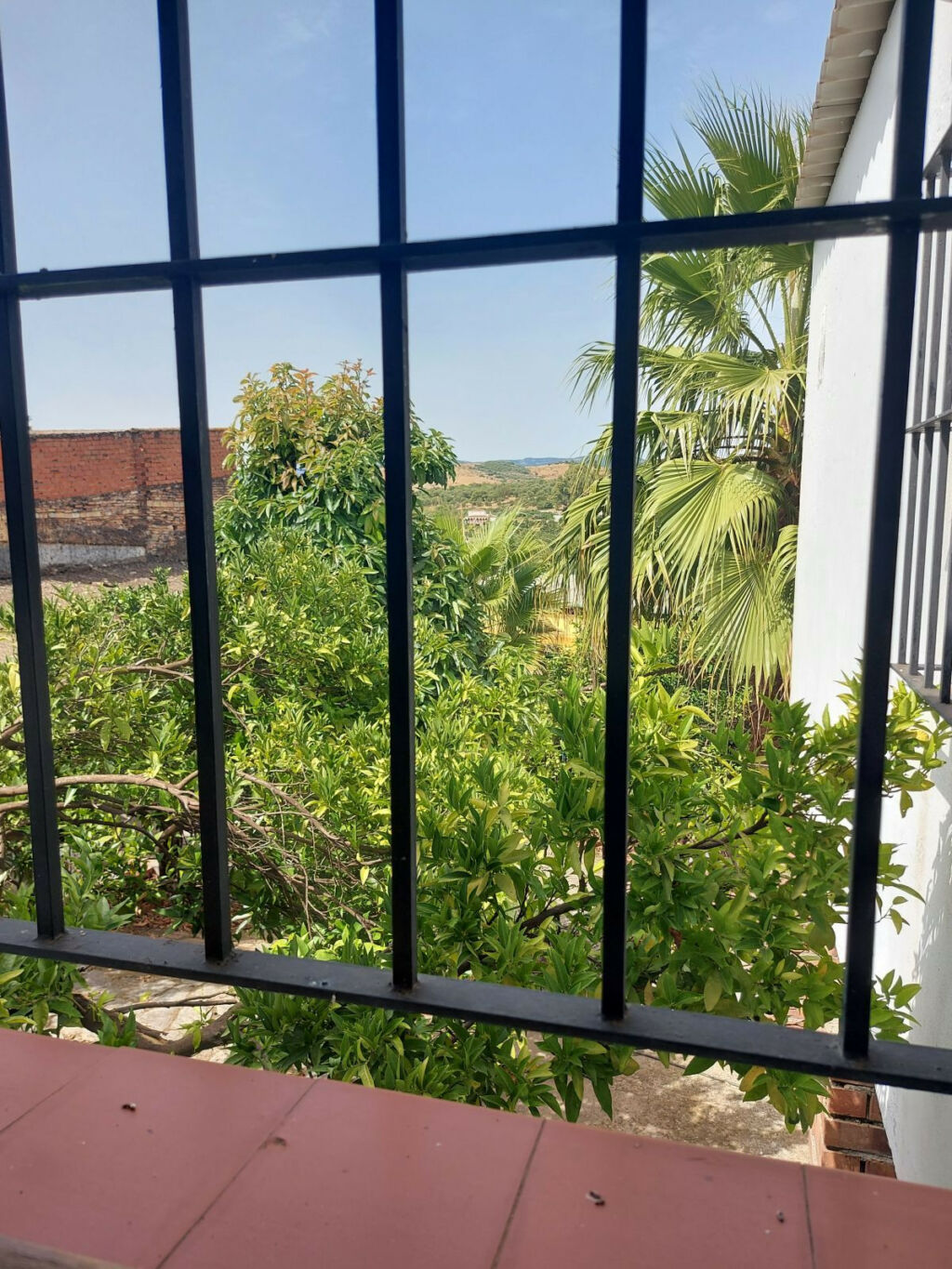 Semi-Detached House Jimena de la Frontera Cádiz - zdjęcie 20