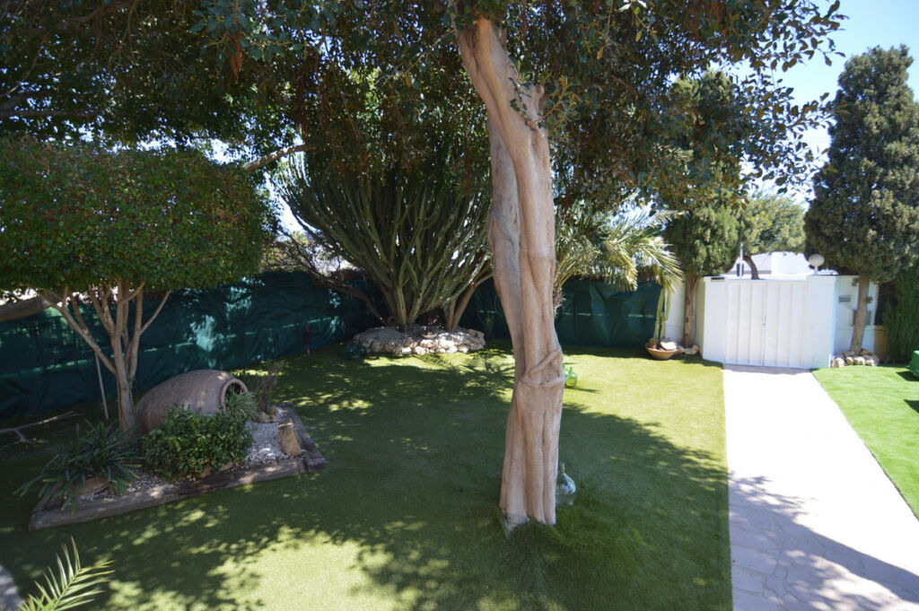 Detached Villa Torrevieja Alicante - imagen 21