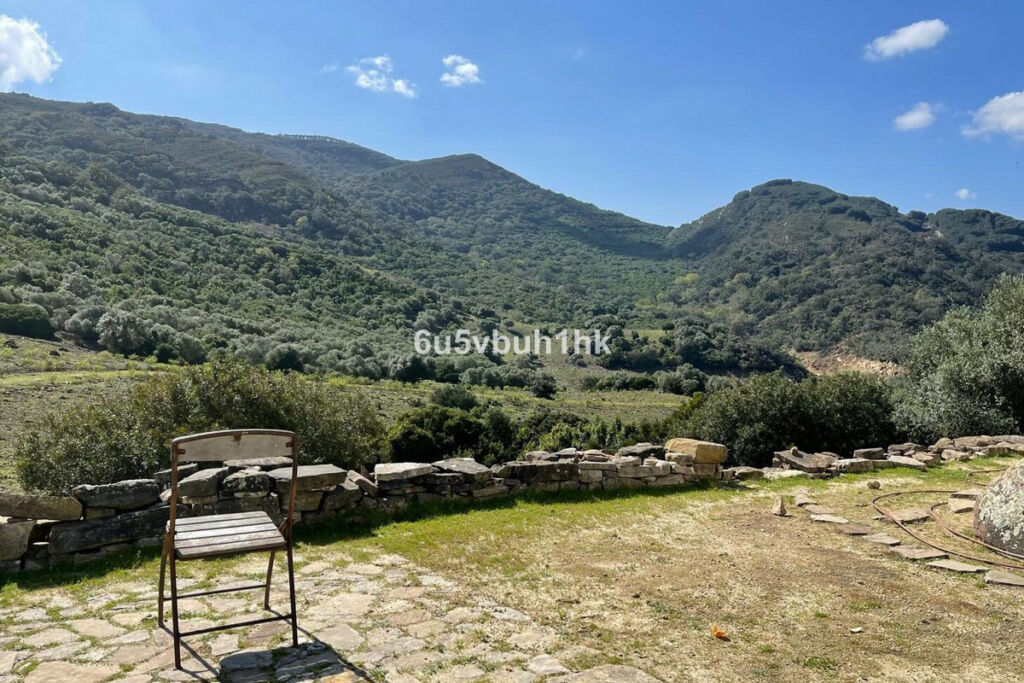 Finca - Cortijo Castellar de la Frontera Cádiz - imagen 22