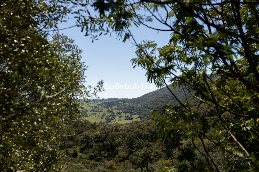 Finca - Cortijo Jimena de la Frontera Cádiz - zdjęcie 23