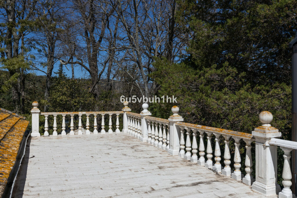 Finca - Cortijo Jimena de la Frontera Cádiz - zdjęcie 24