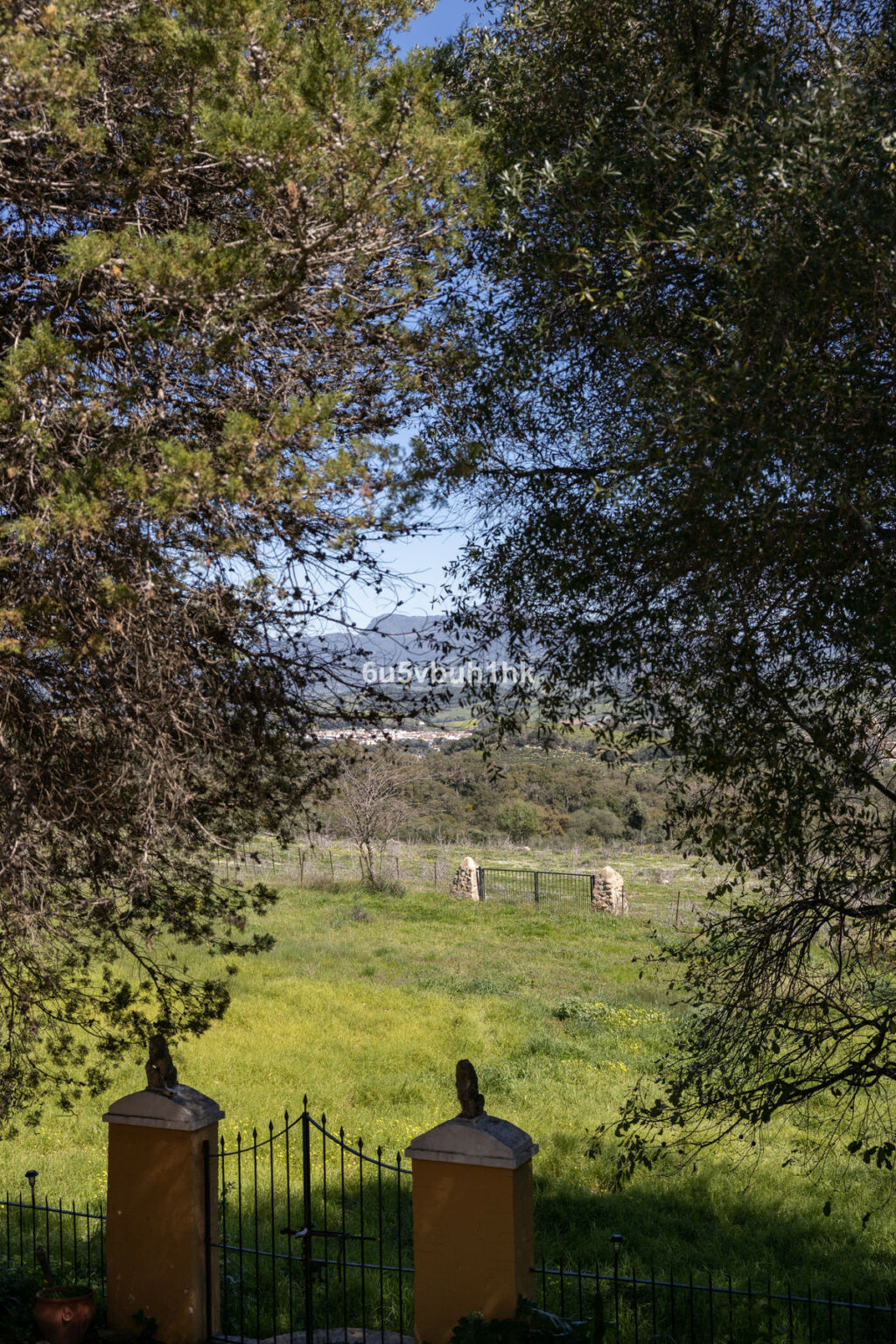 Finca - Cortijo Jimena de la Frontera Cádiz - zdjęcie 25