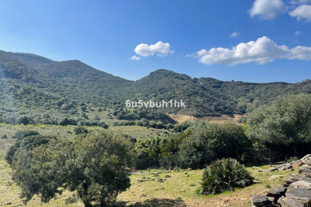 Finca - Cortijo Castellar de la Frontera Cádiz - imagen 25