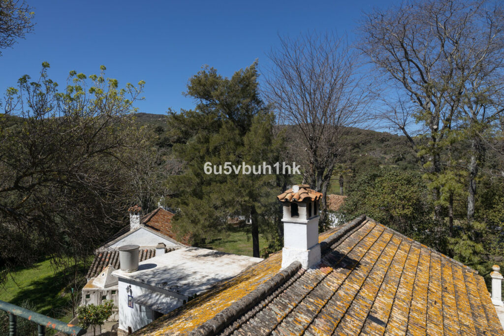 Finca - Cortijo Jimena de la Frontera Cádiz - zdjęcie 27