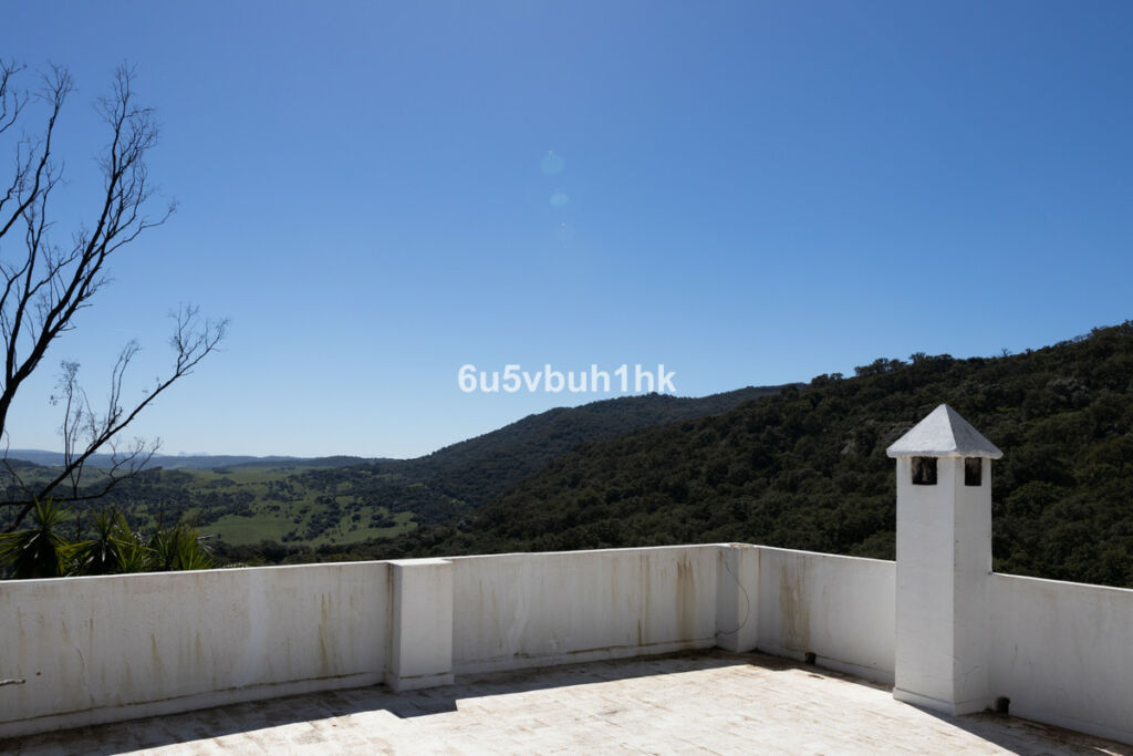 Finca - Cortijo Jimena de la Frontera Cádiz - zdjęcie 28