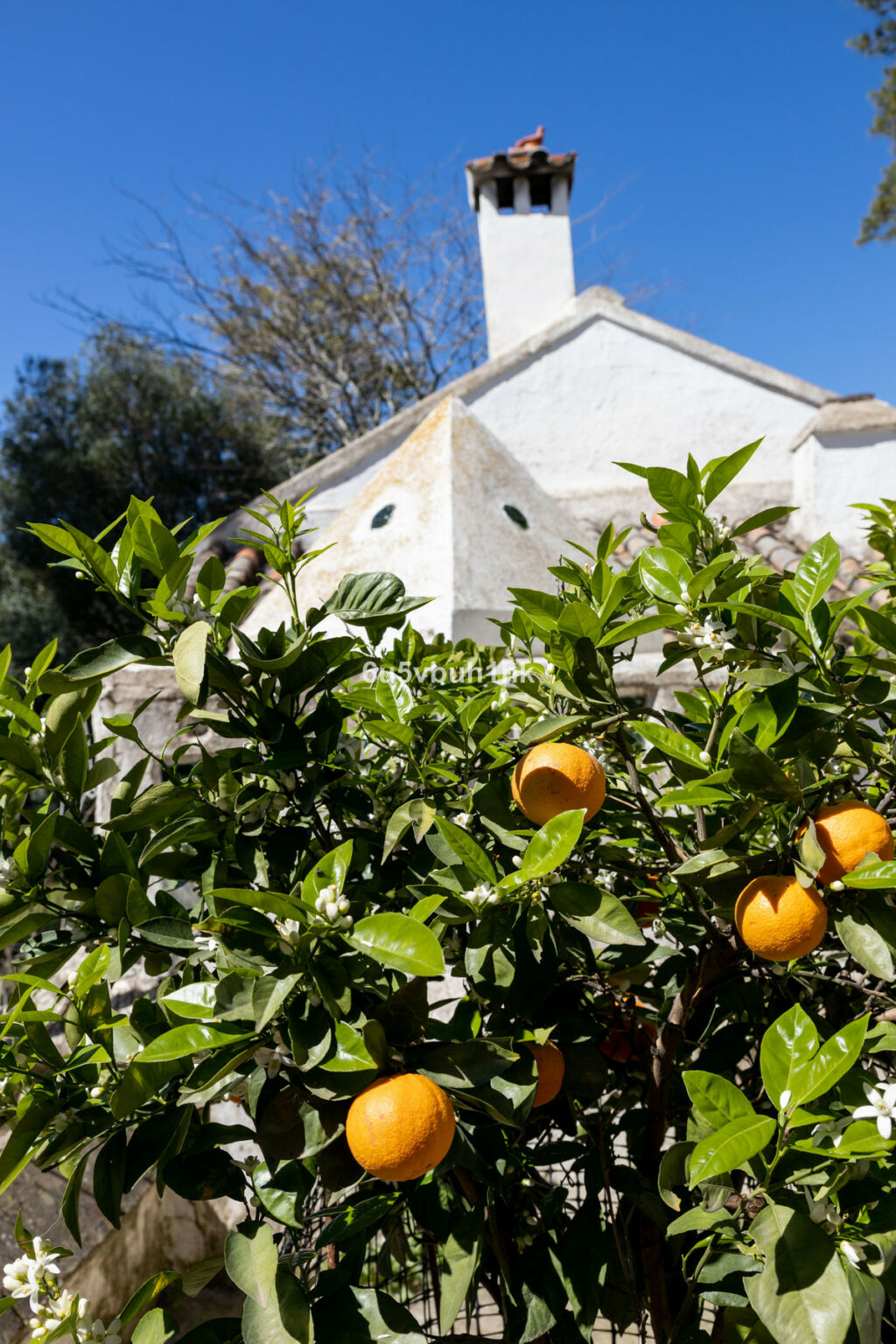 Finca - Cortijo Jimena de la Frontera Cádiz - zdjęcie 29