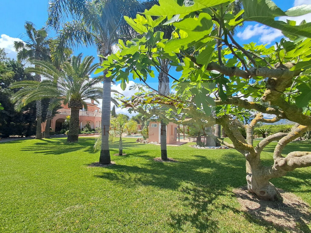 Detached Villa Sanet y Negrals Alicante - imagen 29