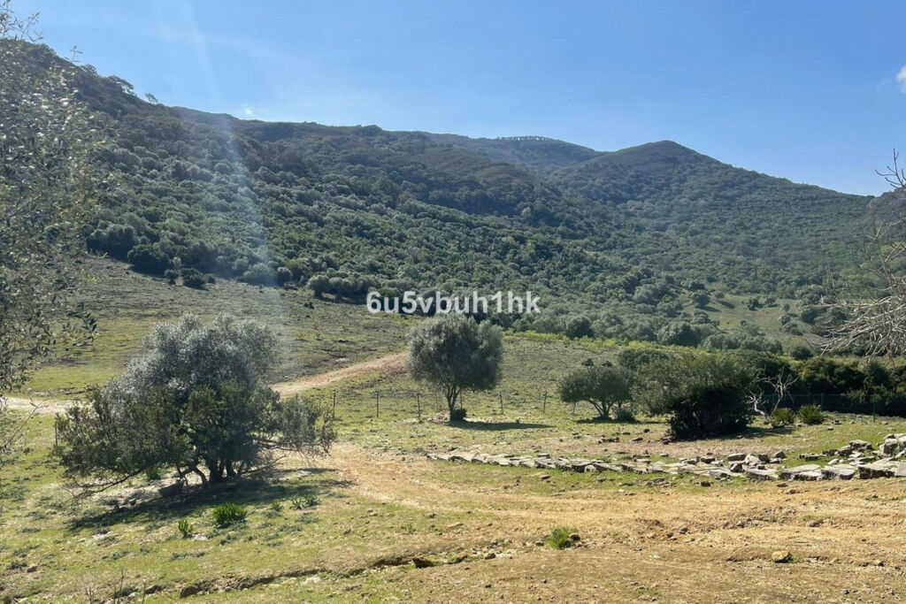 Finca - Cortijo Castellar de la Frontera Cádiz - imagen 29