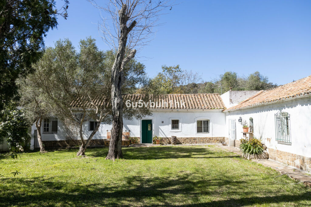 Finca - Cortijo Jimena de la Frontera Cádiz - zdjęcie 3
