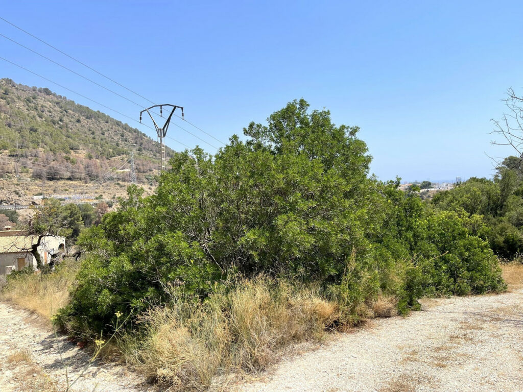 Residential Plot Calpe Alicante - Bild 3
