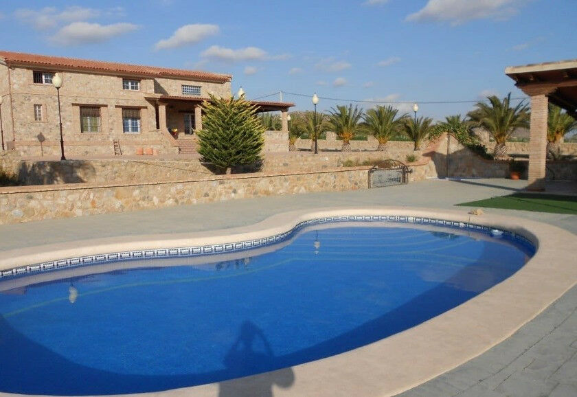 Detached Villa Aspe Alicante - imagen 3