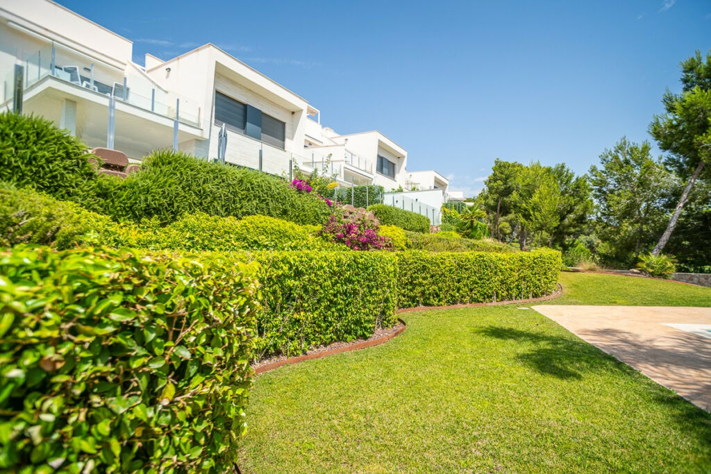 Ground Floor Apartment Pilar de la Horadada Alicante - zdjęcie 30