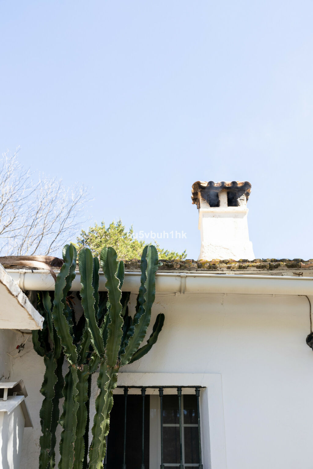 Finca - Cortijo Jimena de la Frontera Cádiz - zdjęcie 30