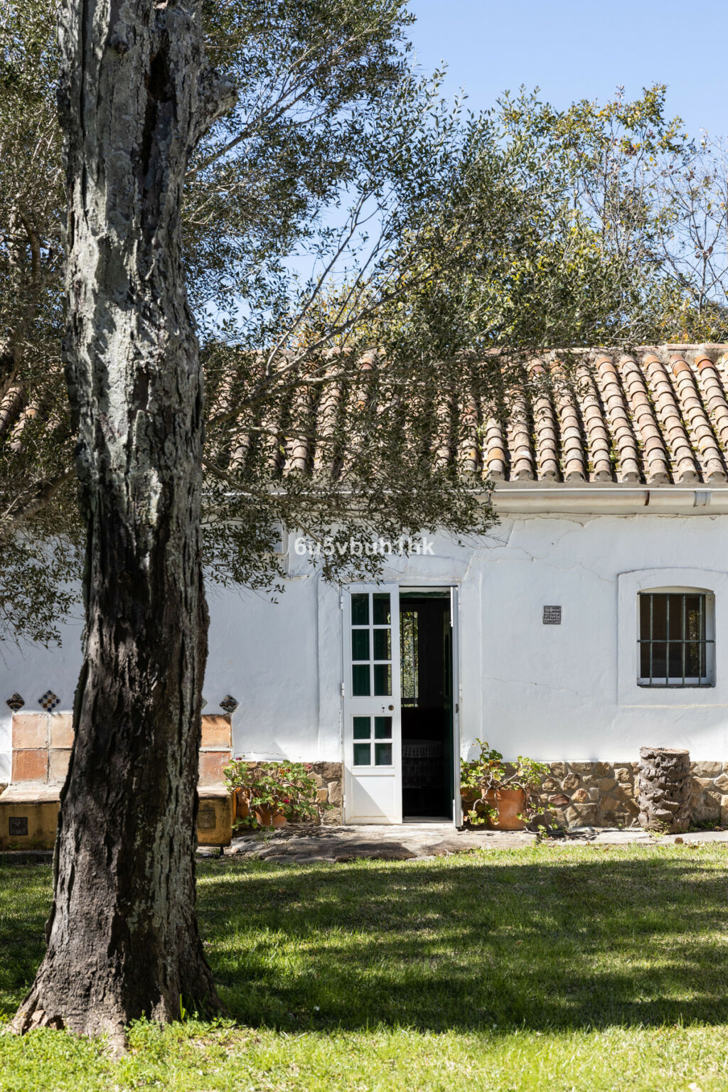 Finca - Cortijo Jimena de la Frontera Cádiz - zdjęcie 31