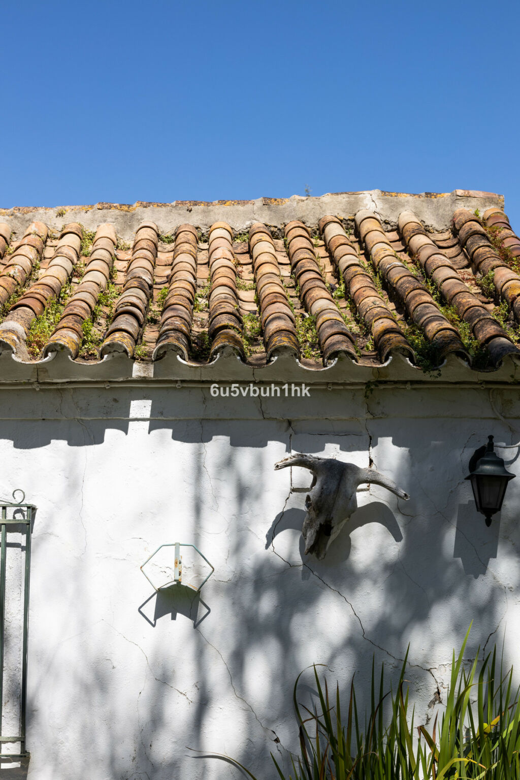Finca - Cortijo Jimena de la Frontera Cádiz - zdjęcie 32