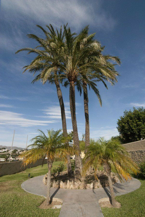 Detached Villa Benissa Alicante - imagen 39