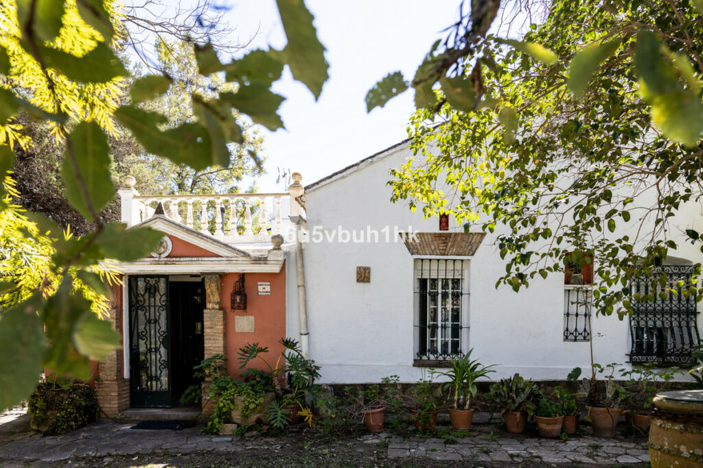 Finca - Cortijo Jimena de la Frontera Cádiz - zdjęcie 4