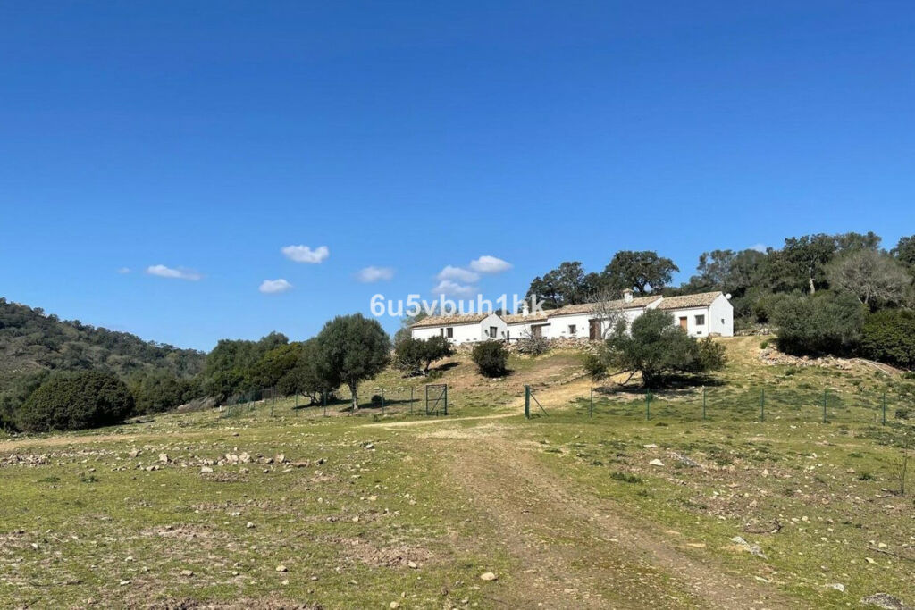 Finca - Cortijo Castellar de la Frontera Cádiz - imagen 4