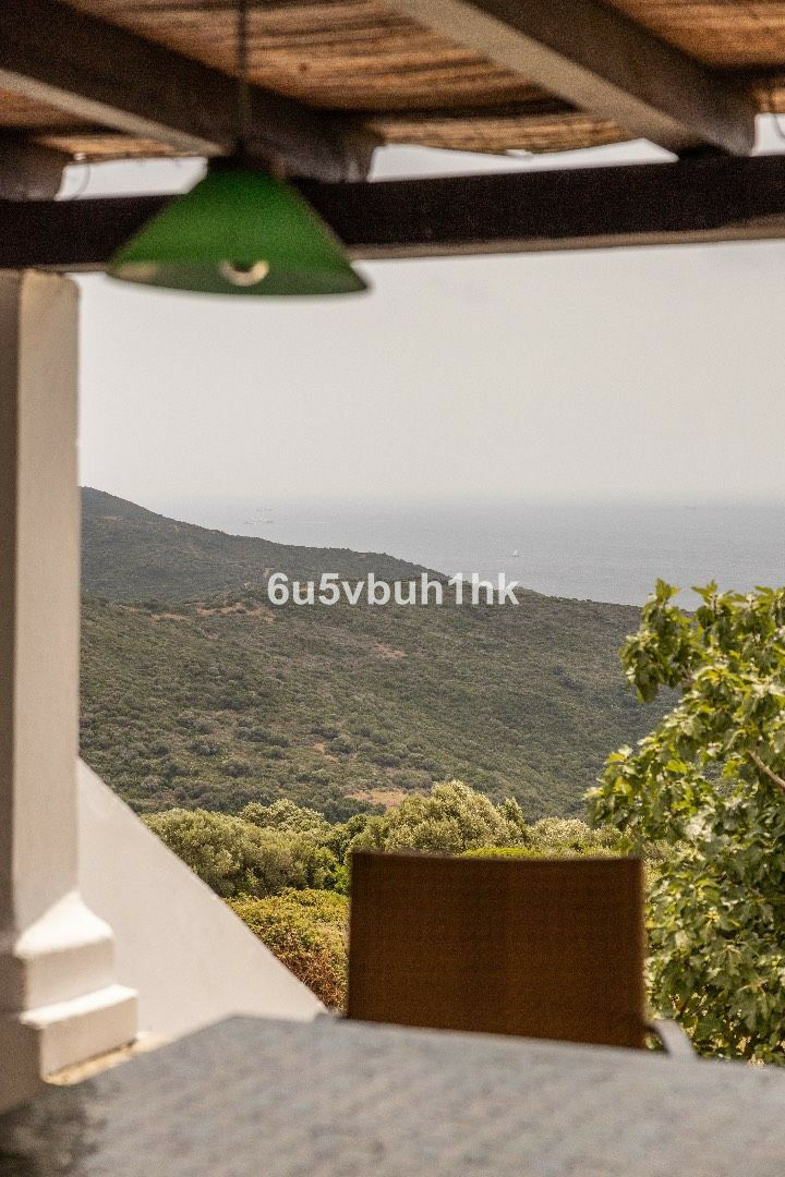 Finca - Cortijo Tarifa Cádiz - zdjęcie 41