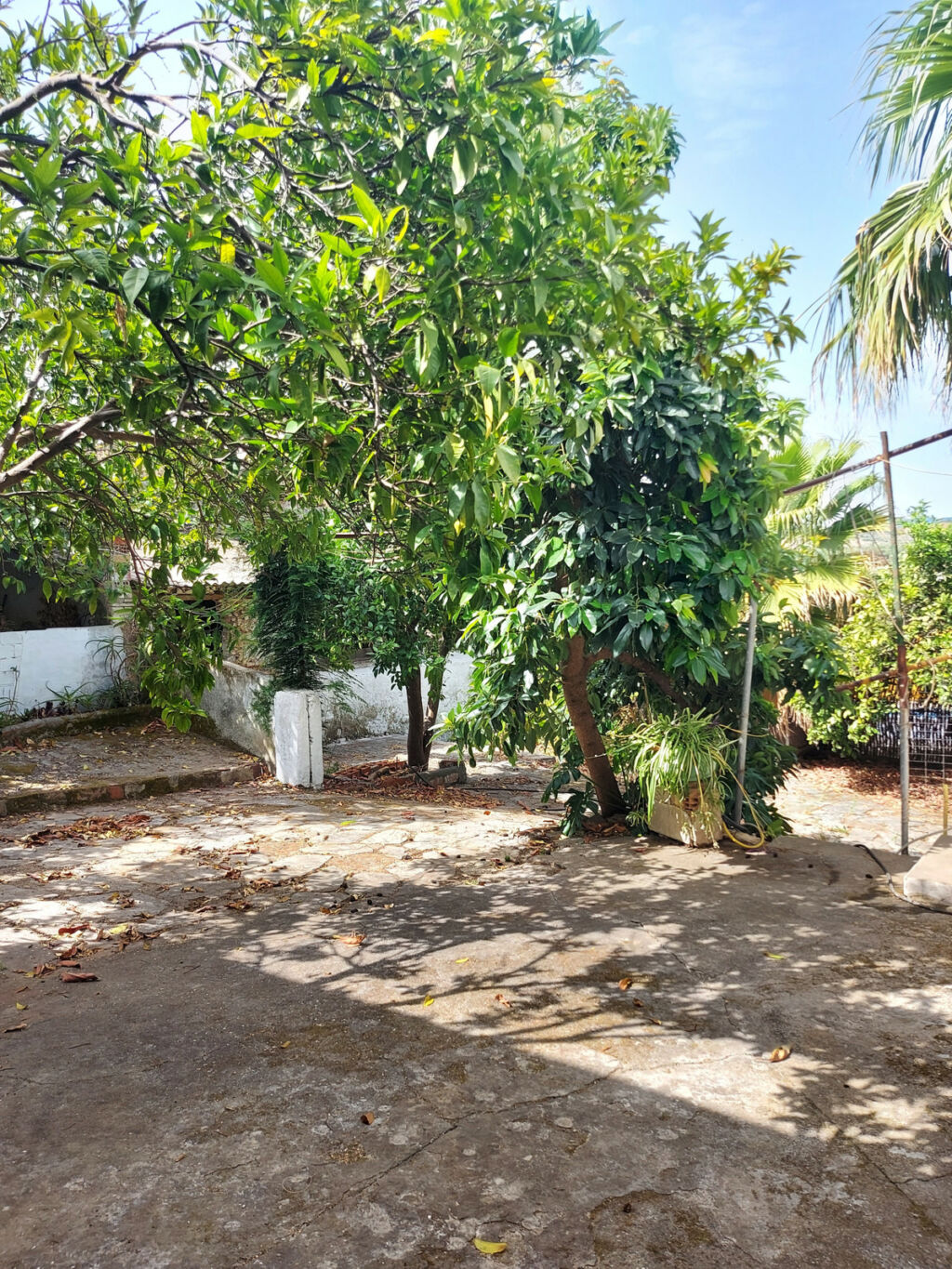 Semi-Detached House Jimena de la Frontera Cádiz - zdjęcie 42