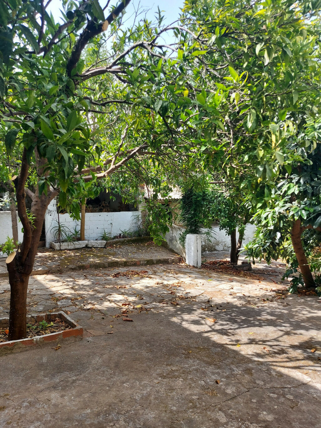 Semi-Detached House Jimena de la Frontera Cádiz - zdjęcie 44