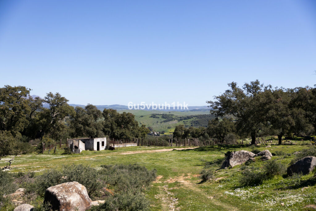 Finca - Cortijo Jimena de la Frontera Cádiz - zdjęcie 47