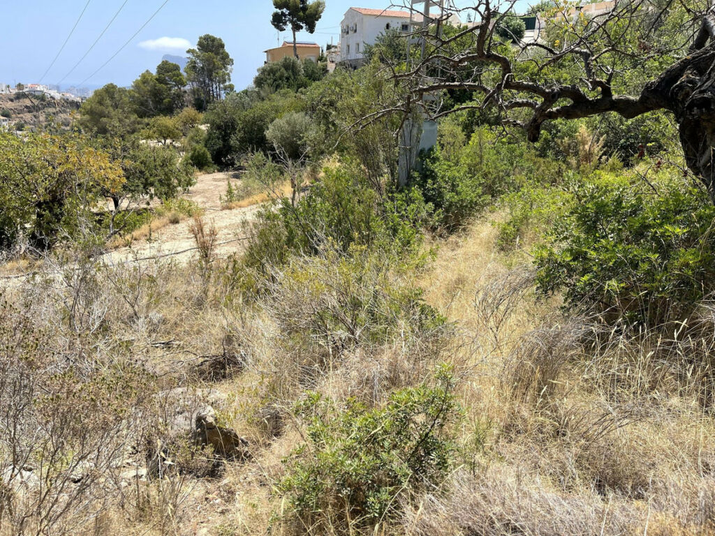 Residential Plot Calpe Alicante - Bild 5
