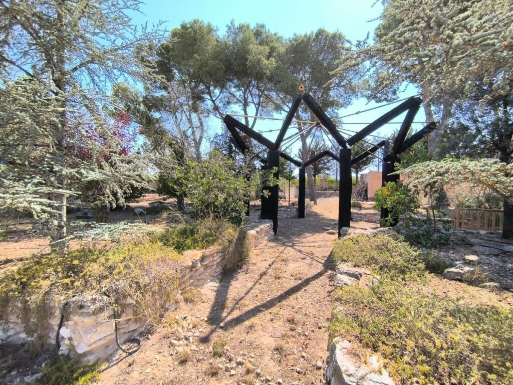 Finca - Cortijo Villena Alicante - imagen 5