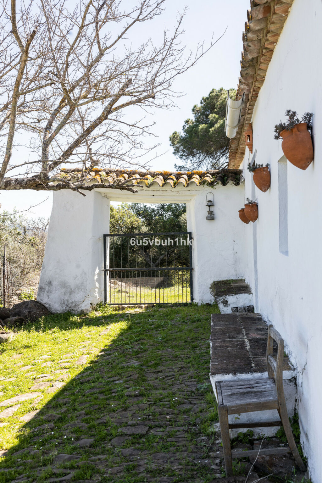 Finca - Cortijo Jimena de la Frontera Cádiz - zdjęcie 50