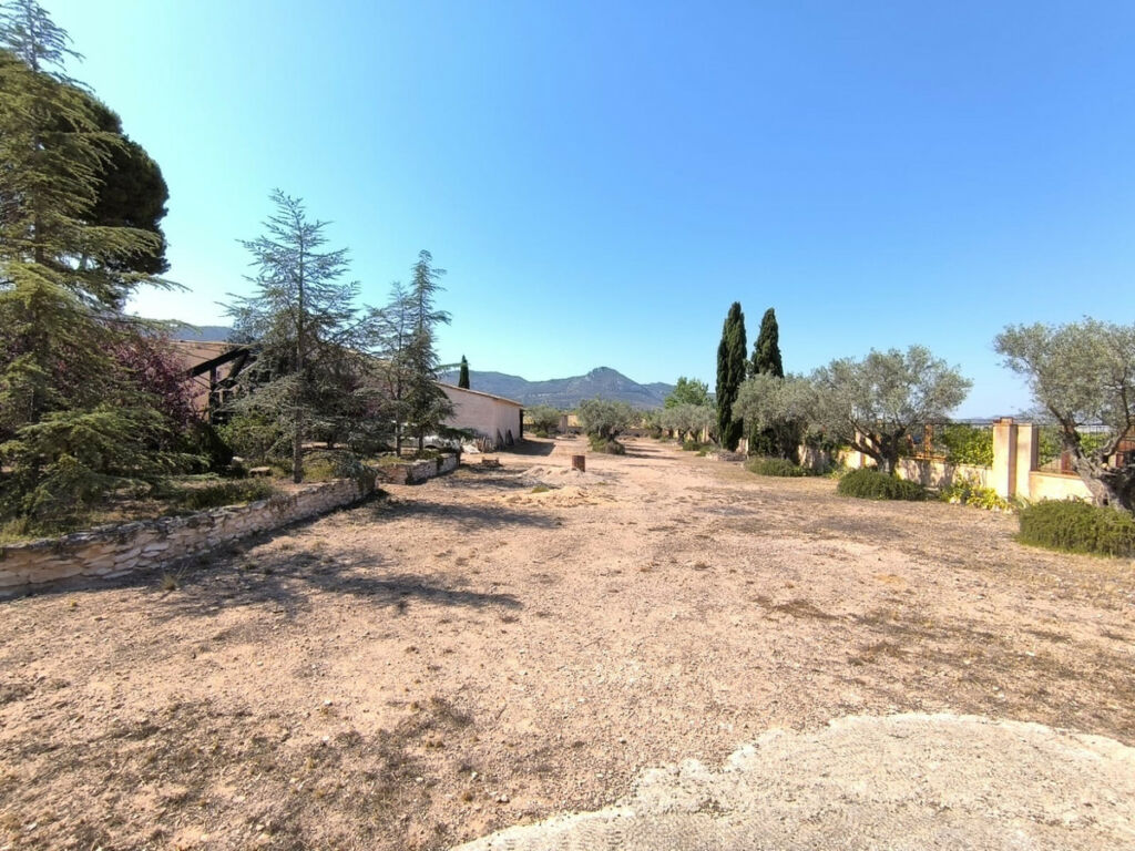 Finca - Cortijo Villena Alicante - imagen 6